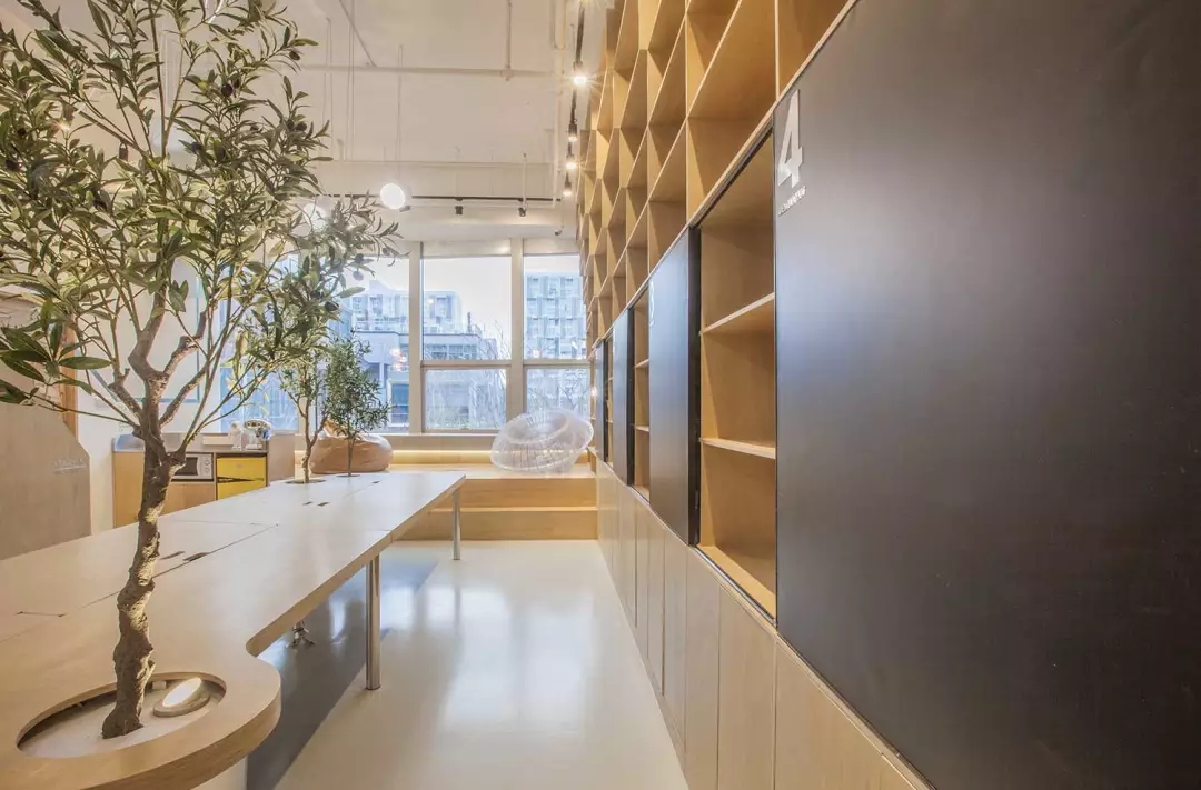 牛在墻上飛，猴子樹梢醉；這是在動物園辦公嗎？